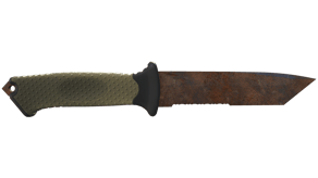 Rust Coat image