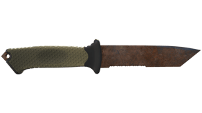 Rust Coat image