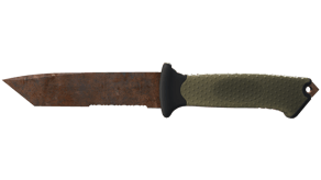 Rust Coat image