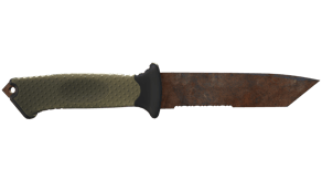 Rust Coat image
