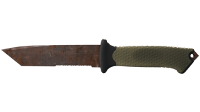 Rust Coat image