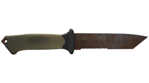 Rust Coat image