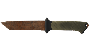 Rust Coat image