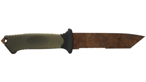 Rust Coat image