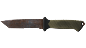 Rust Coat image