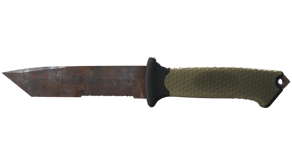 Rust Coat image