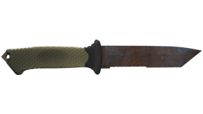 Rust Coat image