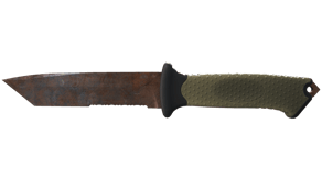 Rust Coat image