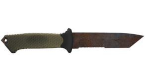 Rust Coat image