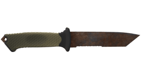 Rust Coat image