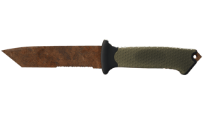 Rust Coat image
