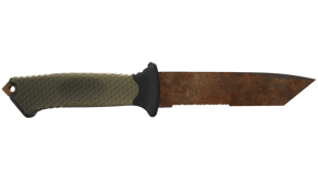 Rust Coat image