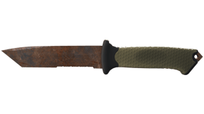 Rust Coat image