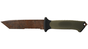 Rust Coat image