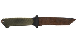 Rust Coat image