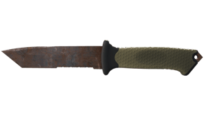 Rust Coat image