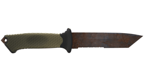 Rust Coat image