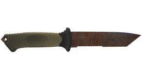 Rust Coat image