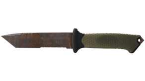 Rust Coat image