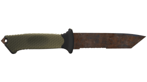 Rust Coat image