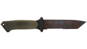 Rust Coat image