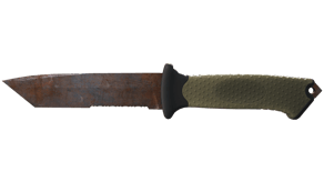 Rust Coat image