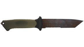 Rust Coat image