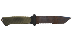 Rust Coat image
