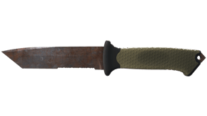 Rust Coat image