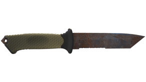Rust Coat image