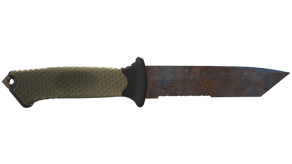 Rust Coat image