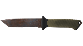 Rust Coat image