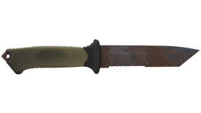 Rust Coat image