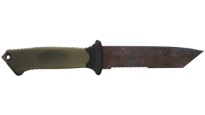 Rust Coat image