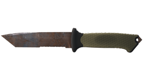 Rust Coat image