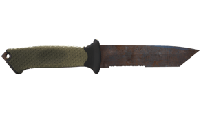 Rust Coat image