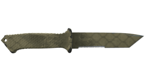 Safari Mesh image