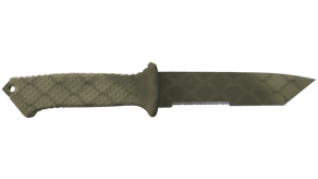 Safari Mesh image
