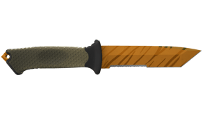 Tiger Tooth image