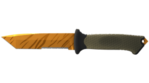 Tiger Tooth image