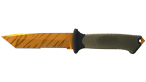 Tiger Tooth image
