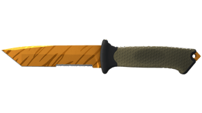 Tiger Tooth image