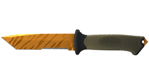 Tiger Tooth image