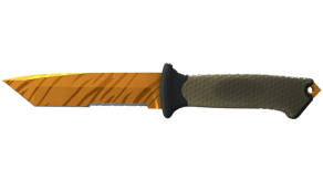 Tiger Tooth image