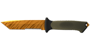 Tiger Tooth image