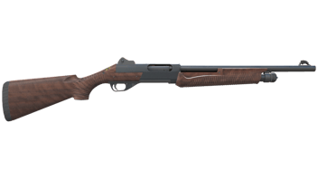Walnut image