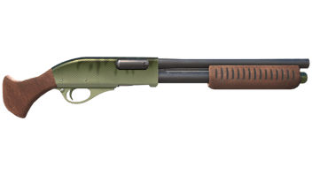Zander image
