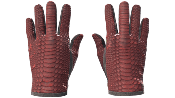 Dragon Fists image