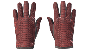 Dragon Fists image