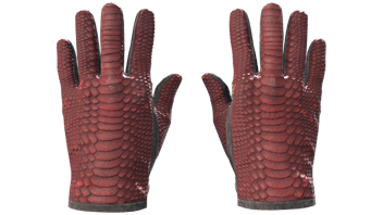 Dragon Fists image